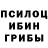 Галлюциногенные грибы Psilocybine cubensis Vika Kirichenko