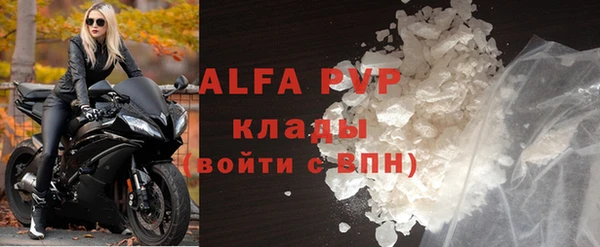 spice Вяземский