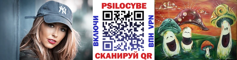 Псилоцибиновые грибы Psilocybe Донецк