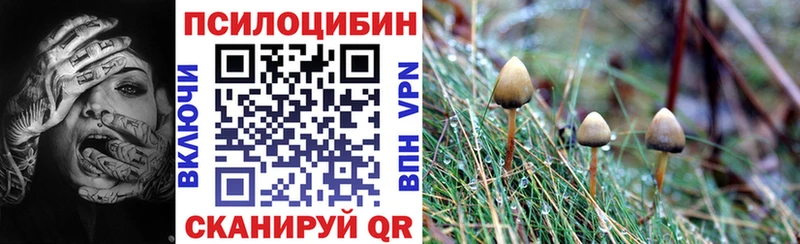 наркотики  Донецк  Псилоцибиновые грибы мицелий 